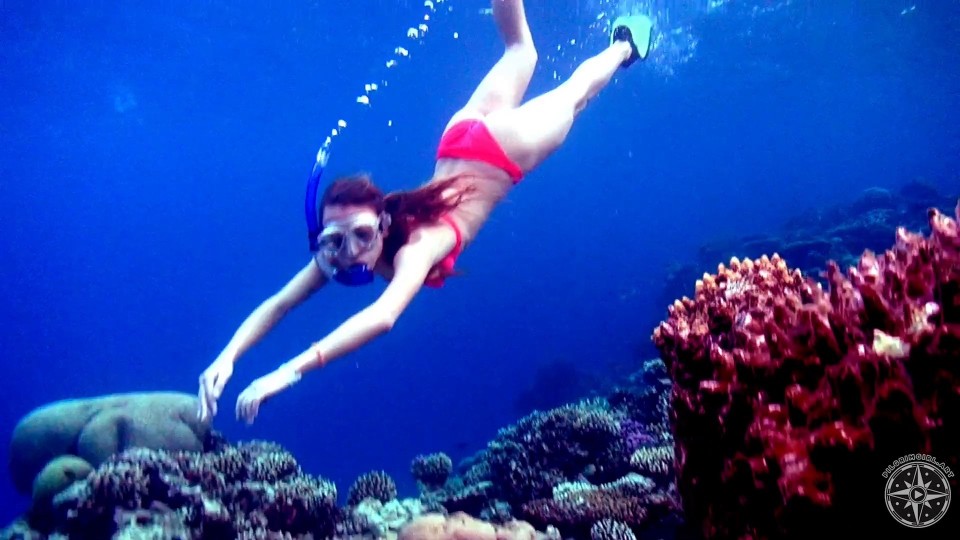 PilgrimGirl Underwater World video
